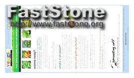 I Want to Make My Company Logo